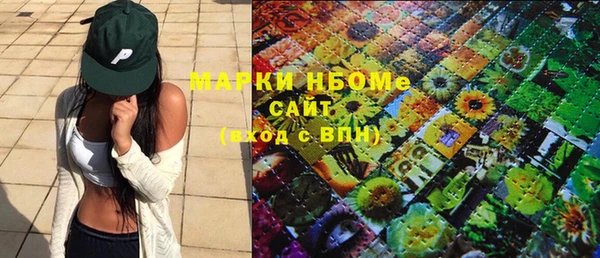 PSILOCYBIN Бородино