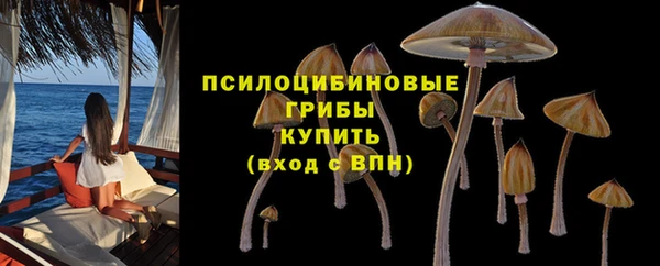 PSILOCYBIN Бородино
