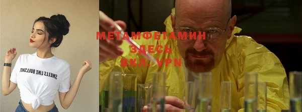 PSILOCYBIN Бородино