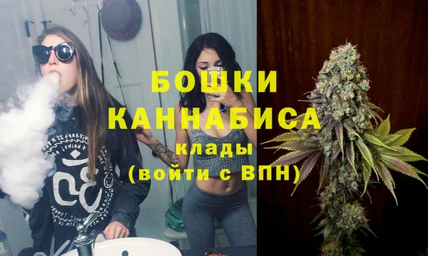 PSILOCYBIN Бородино