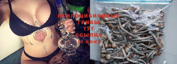PSILOCYBIN Тутаев